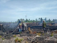 Perkembangan Situasi dan Penanganan Bencana di Tanah Air Periode 26 Juni 2025